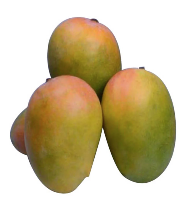 Kesar 2 box spl