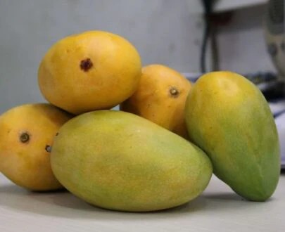 Peddha rasalu
