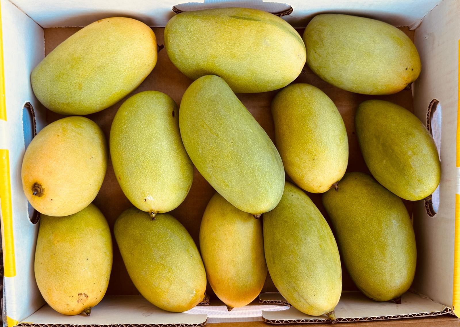 Cheruku Rasalu