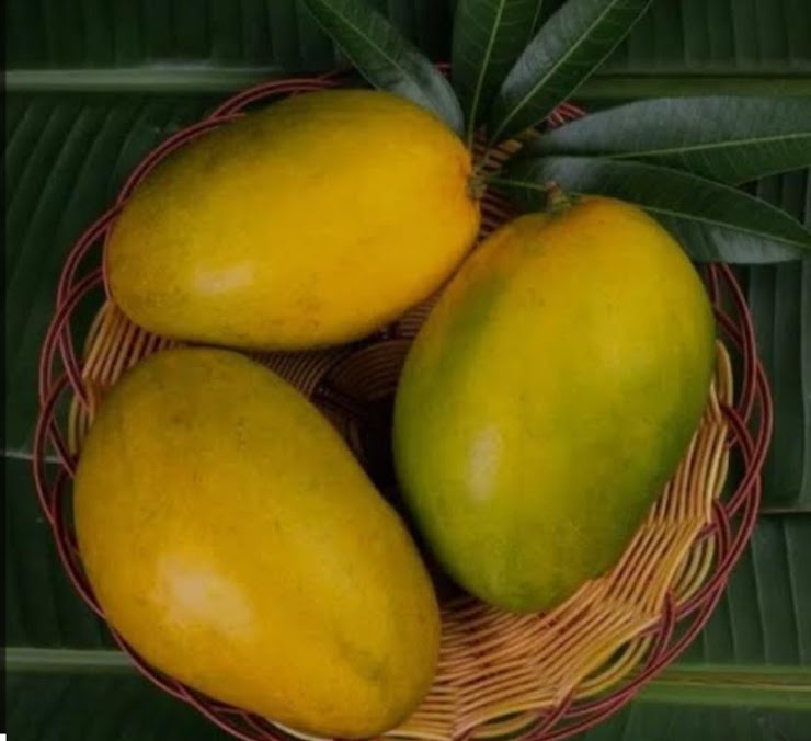 Himam Pasand